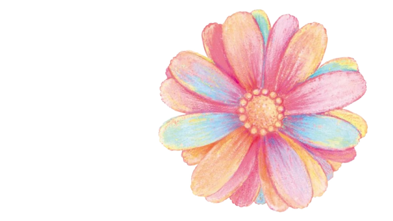 Aeon Loyalty Program